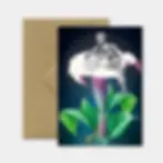 Carte de voeux vintage Noel Sexy