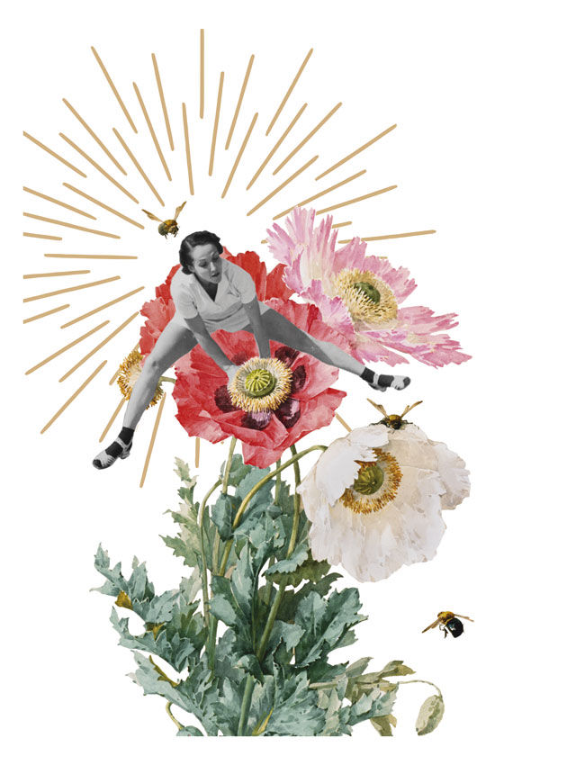 Affiche retro saute mouton Flora Florae