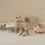 Miniature : Scène Maileg avec landau vintage et bébés souris dans une chambre miniature