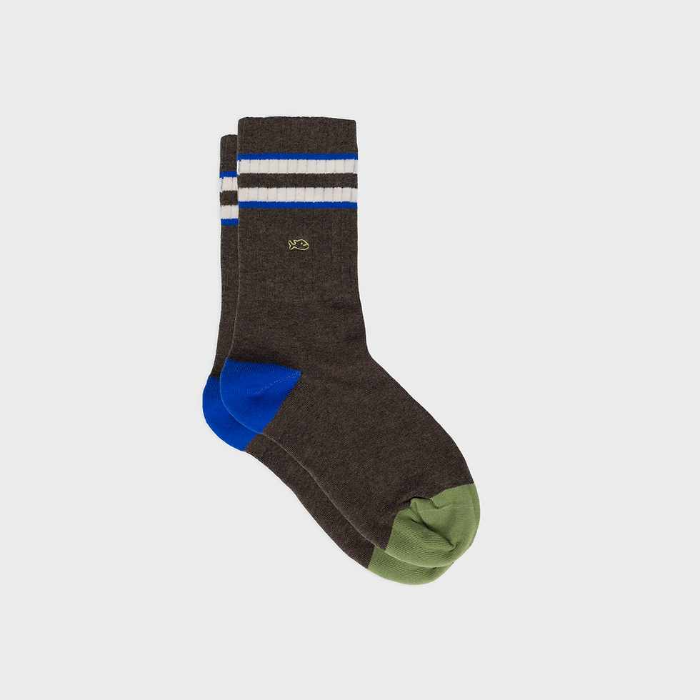 Chaussettes homme rétro Billybelt marron à rayures ivoire et bleu – vue produit
