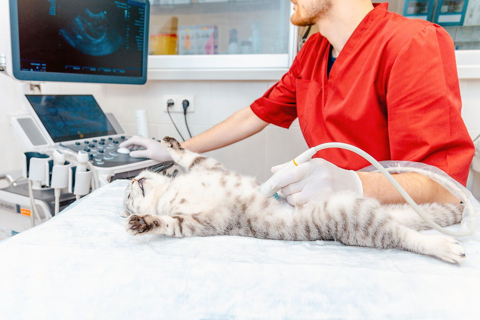 “Abdominal ultrasound performed without dedicated positioning support — a common scenario that increases strain on the sonographer and can heighten patient stress, often leading to a greater need for sedation.