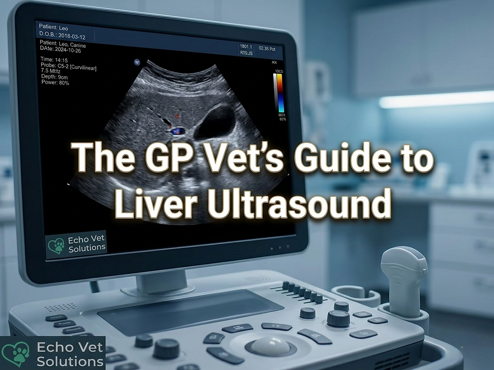 Image of a scanner with writing: The GP Vet’s Guide to Liver Ultrasound
