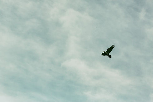 _Q6B5890_edited.jpg