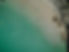 ゼンオキ食品沖縄