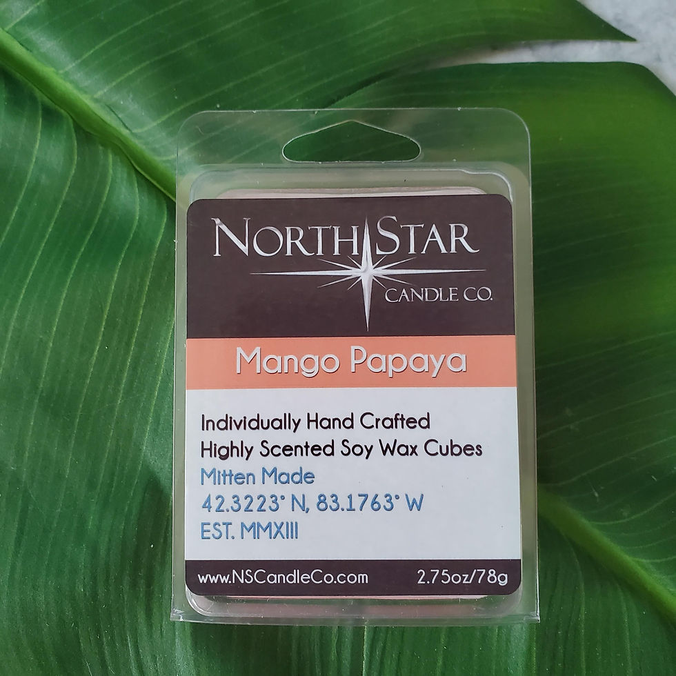 Mango Papaya Wax Melt