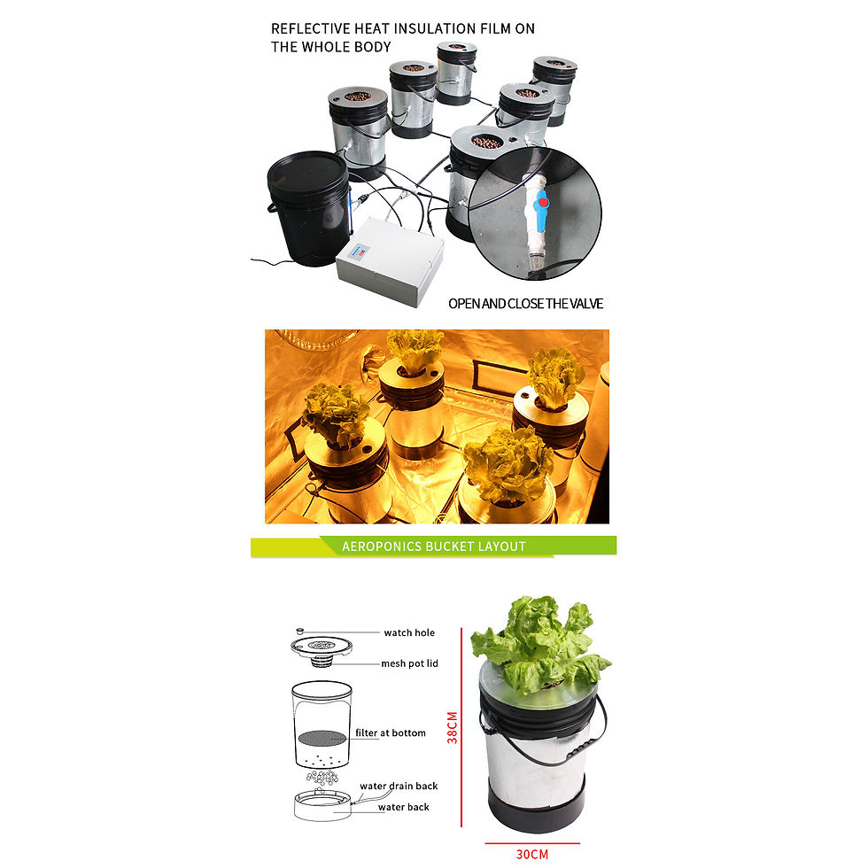 Thumbnail: Recirculating Aeroponic System