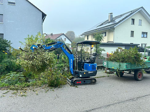Bagger Hecken entfernen.jpeg
