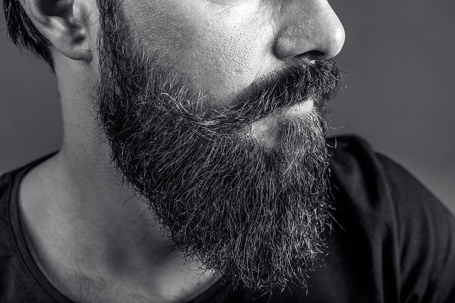 BeardAndManeBeardCloseUp.jpeg