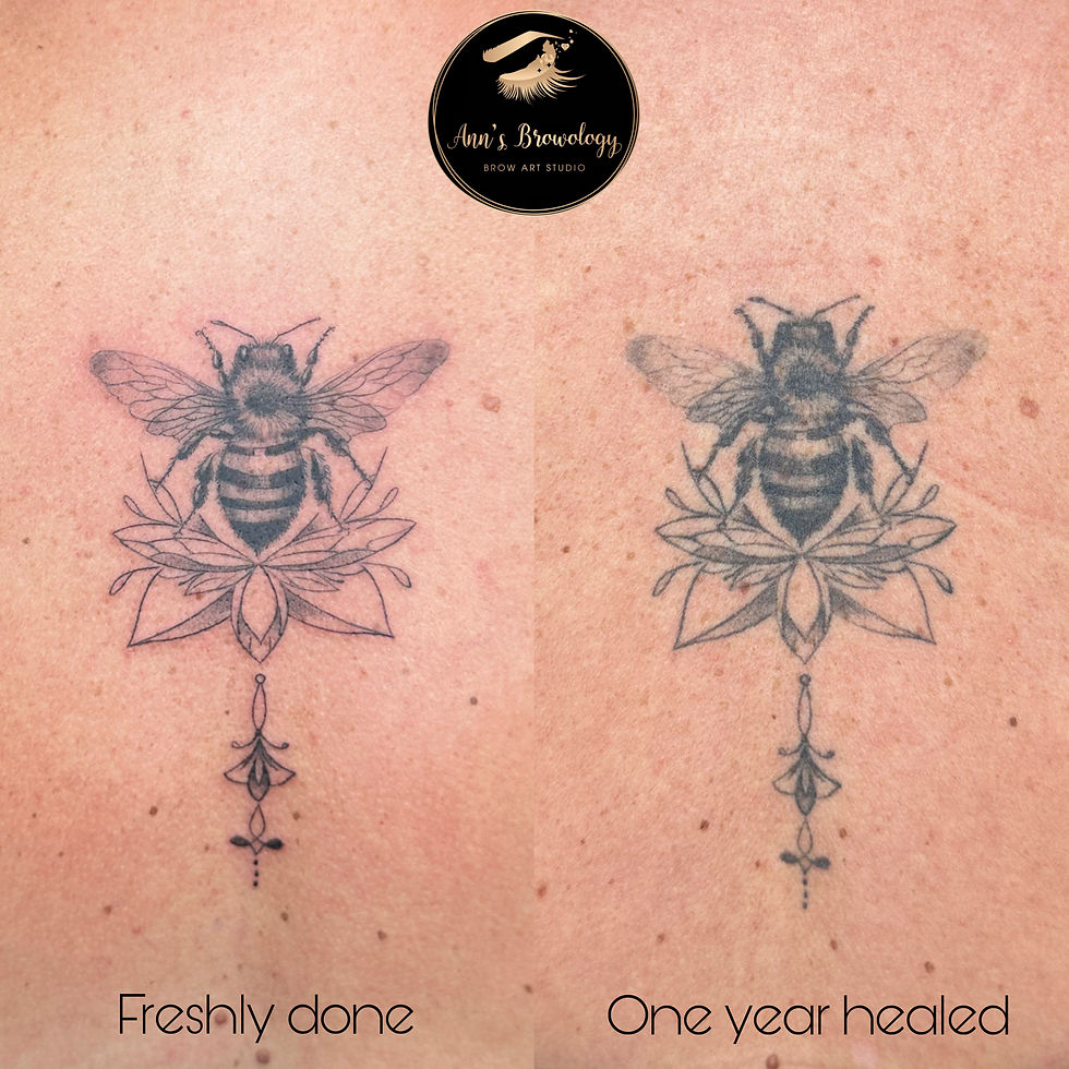 Fine-line Tattoo done by Ann's Browology, new vs. one year old.