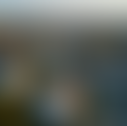 Unlocking the Secrets to Successfully Challenging Property Taxes on Your Rental Investments