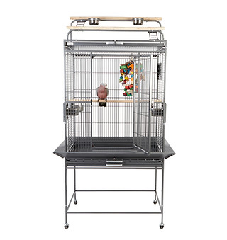 Dakota Cage Antique_edited.jpg