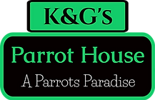 Logo-1754046667614_edited.png