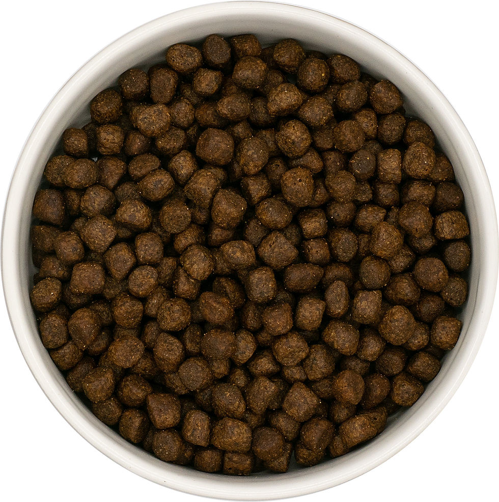 Thumbnail: K&G's Grain Free Dog Food - Puppy Chicken With Turkey, Salmon, Sweet Potato, car