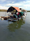 mangrove.jpg