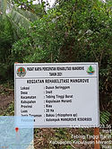 mangrove.jpg