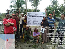mangrove.jpg