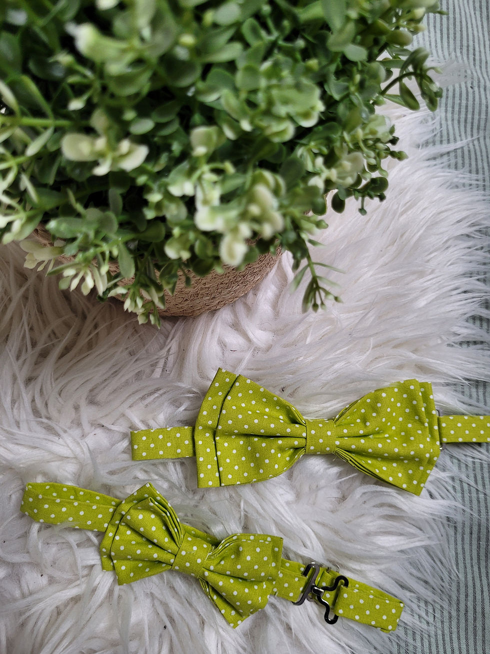 Miniature : Papillon Enfant Tristan