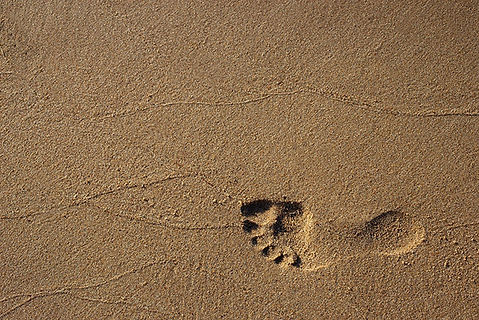 footprint