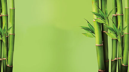 bamboo