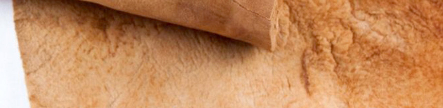 Mushroom Leather