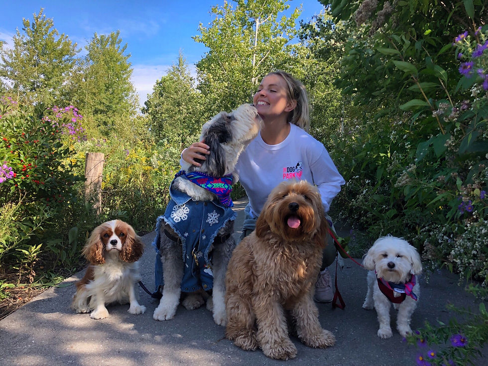 Dog walker