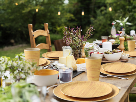 Best Reusable Bamboo Plates for Party 2021