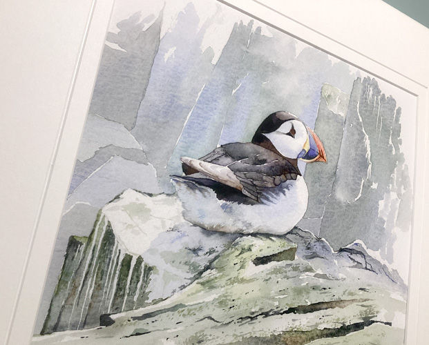 Thumbnail: Puffin of the Farne Islands ART PRINT