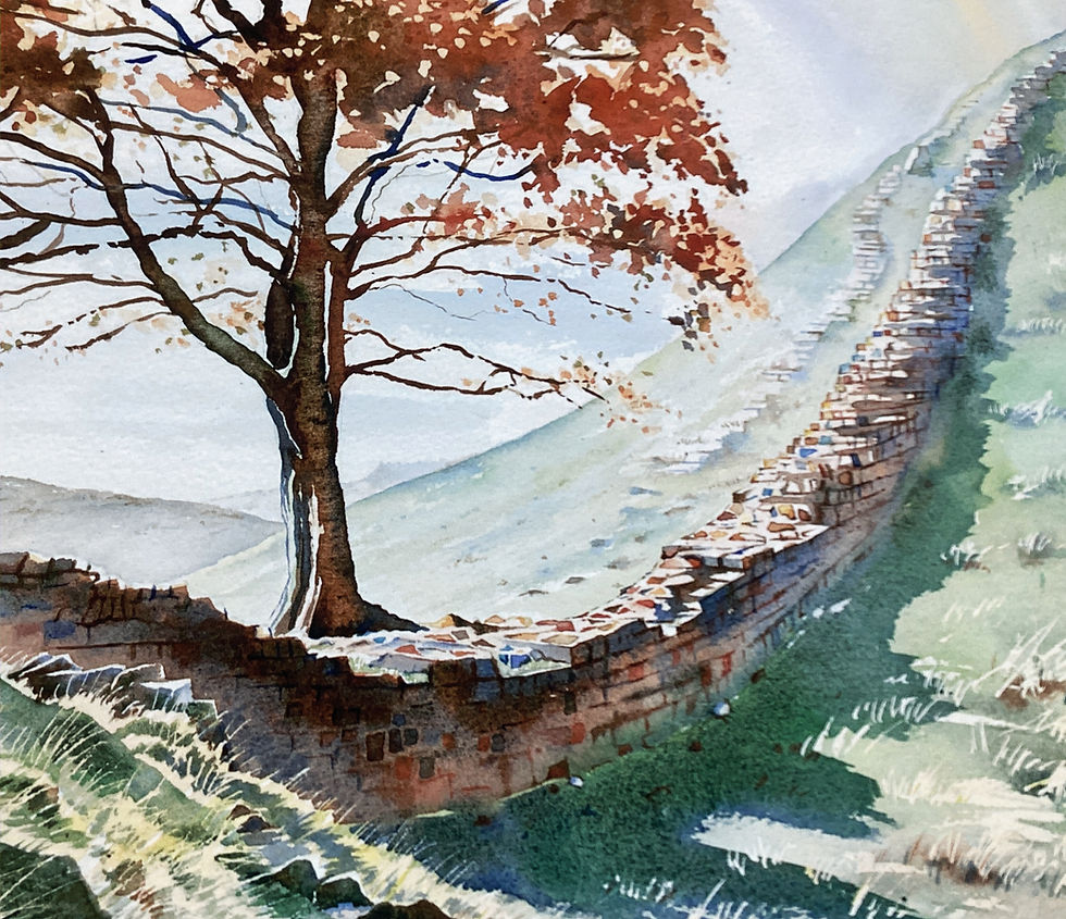 Thumbnail: Autumn Colours - Sycamore Gap - ART PRINT