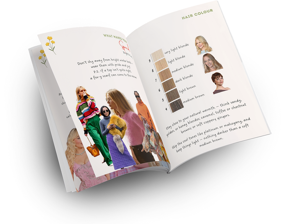 Zazu Feu's colour guide book