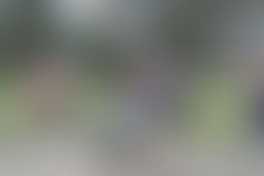 Спортивный праздник "Здравствуй, школа!"