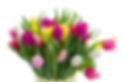 Colorful Bouquet