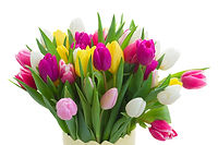 Bunter Blumenstrauß