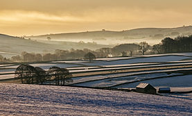 PRINT Winter Morning.jpg