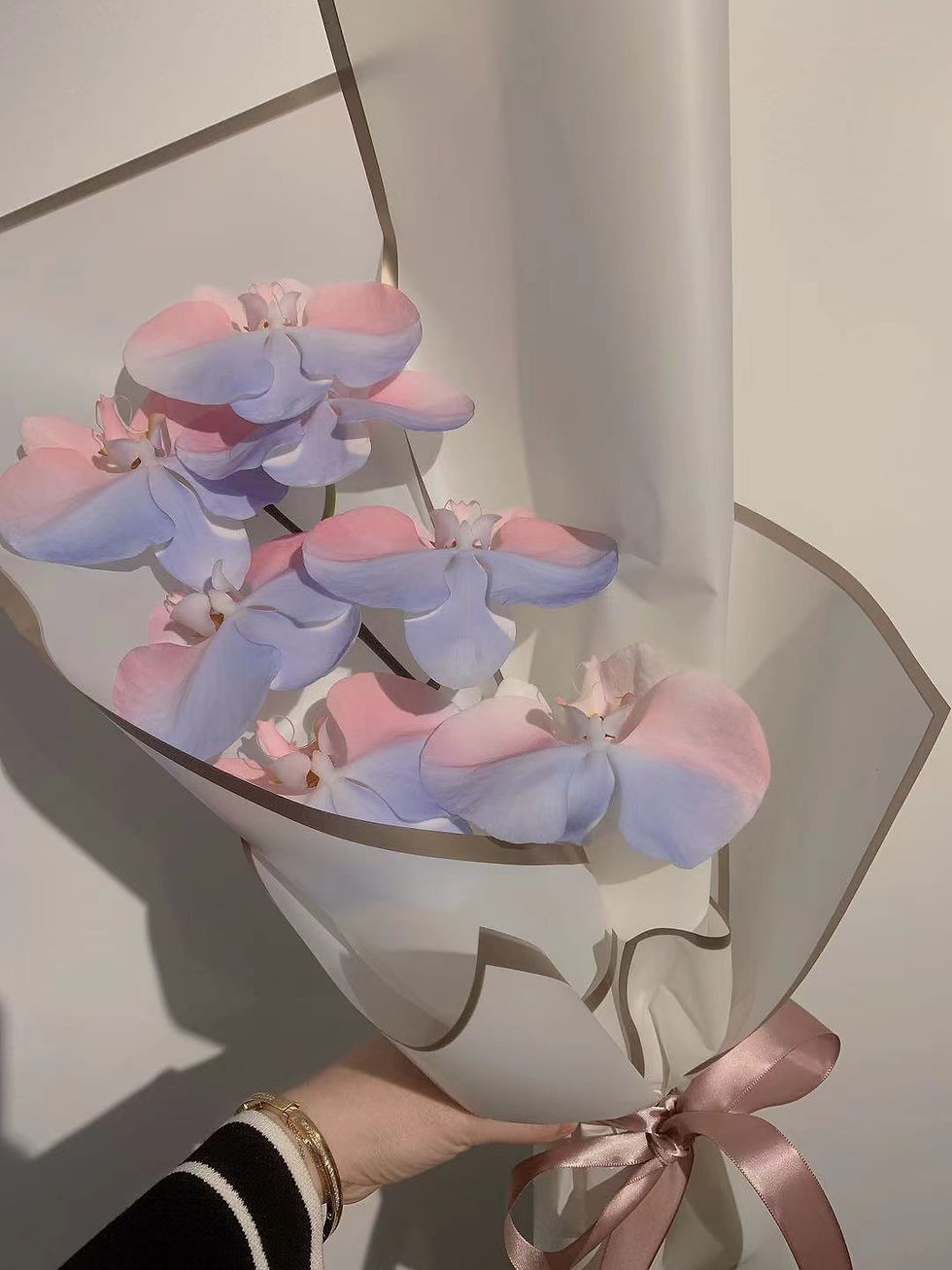 Unicorn Orchid