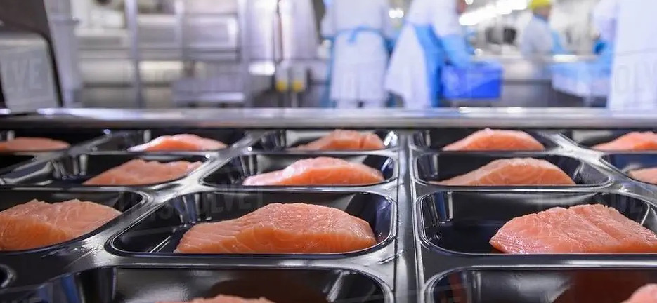 packinfood-thermoforimng8.jpeg
