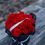 Thumbnail: Moody Roses