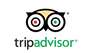 cropped-tripadvisor-logo-vector-png-trip