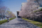 L1010356_edited_edited.jpg