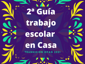Guía pedagógica Nº2