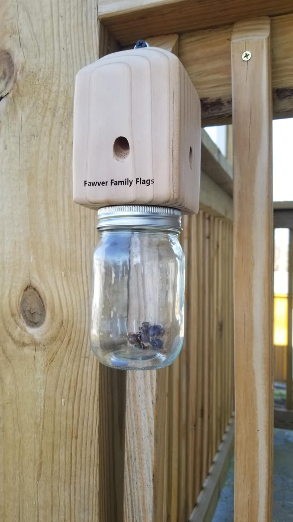 Thumbnail: Carpenter Bee Trap