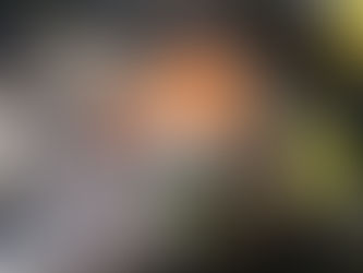 All Dogs Matter charity hosts Halloween show to raise funds and awareness