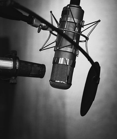 Professional Microphone with Pop Filter