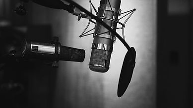Professional Microphone with Pop Filter