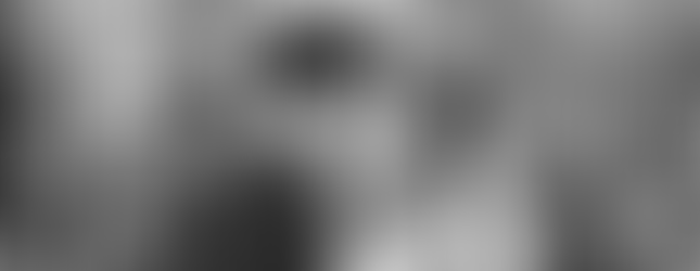 Swooping Fairylight Installation - Micklefield Hall