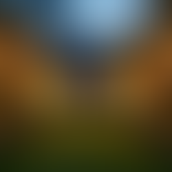 Warm fairylighting creating a magical atmosphere in a Cotswold garden event