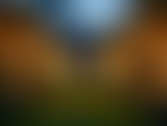 Warm fairylighting creating a magical atmosphere in a Cotswold garden event