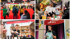 Cité Boomers, fier partenaire de l’Expo Manger Santé : un rendez-vous à ne pas manquer ce week-end