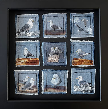 Bird Boxes