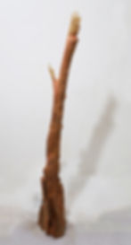 Memory number 18 ( natural artifact n 18 ) ; size cm