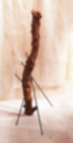 Memory number 21 ( natural artifact n 21 ) ; size cm